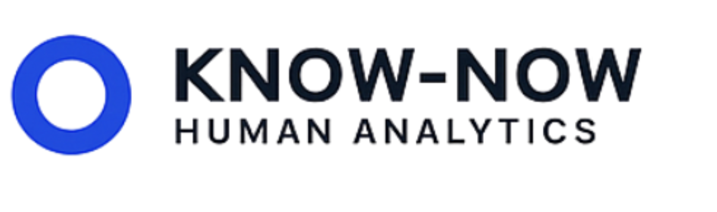 KNOW-NOW Logo